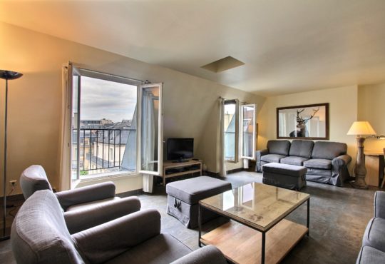 Furnished apartment Spacioux and sunny 1 bedroom apartment with AC and balconies