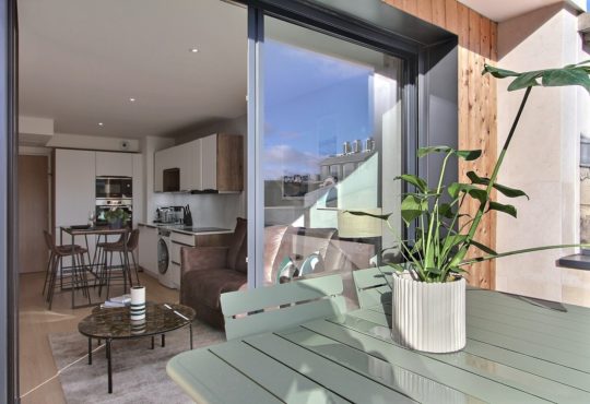 Appartement 1 chambre climatisé avec balcon à quelques minutes de la Tour Eiffel