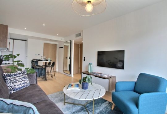 2 chambres avec terrasse et vue Tour Eiffel