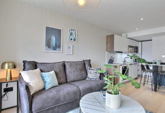 2 chambres avec terrasse et vue Tour Eiffel