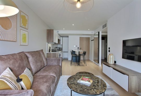 1-bedroom apartment with balcony and air conditioning near the Eiffel Tower