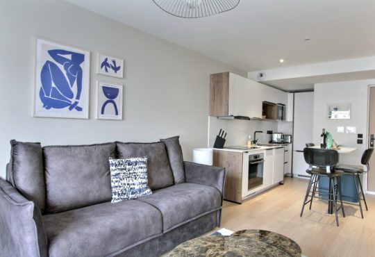 Appartement 1 chambre avec balcon et climatisation proche Tour Eiffel