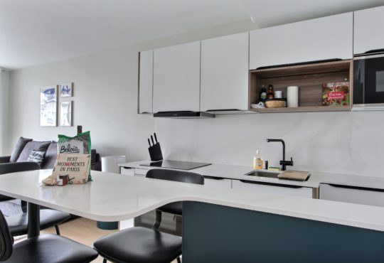 Appartement 1 chambre avec balcon et climatisation proche Tour Eiffel