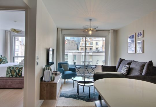 Appartement 1 chambre avec balcon et climatisation proche Tour Eiffel