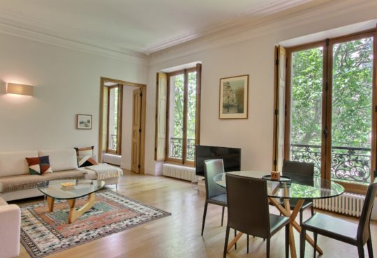 Beautiful 2-bedroom close to Notre-Dame-de-Paris